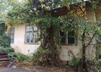 польская школа