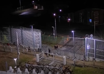 пункты пропуска на границе Беларуси и Польши