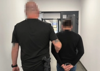 угоняли автомобили в польше