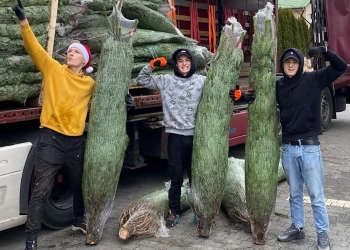 Беларус открыл в Польше самый рождественский бизнес — доставляет клиентам ёлки из Дании