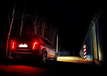 сбил собаку в Польше