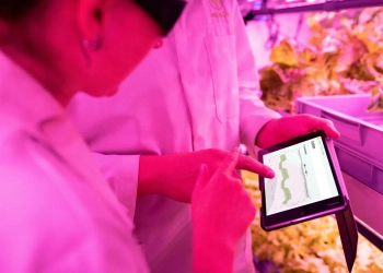 беларусские IT-стартапы в Польше