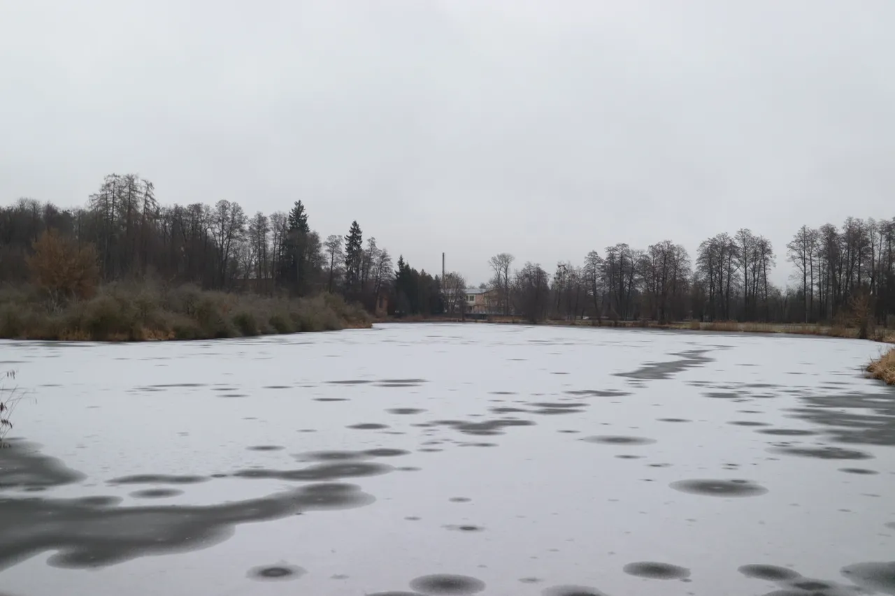 Беловежская пуща