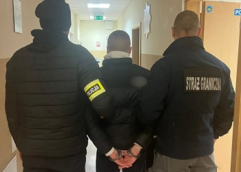 перевозили мигрантов в Польше