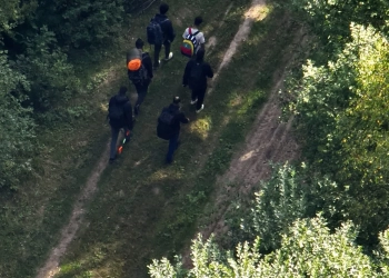 заявления на международную защиту в Польше