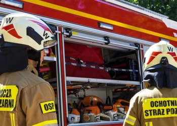 учения на польско-беларусской границе