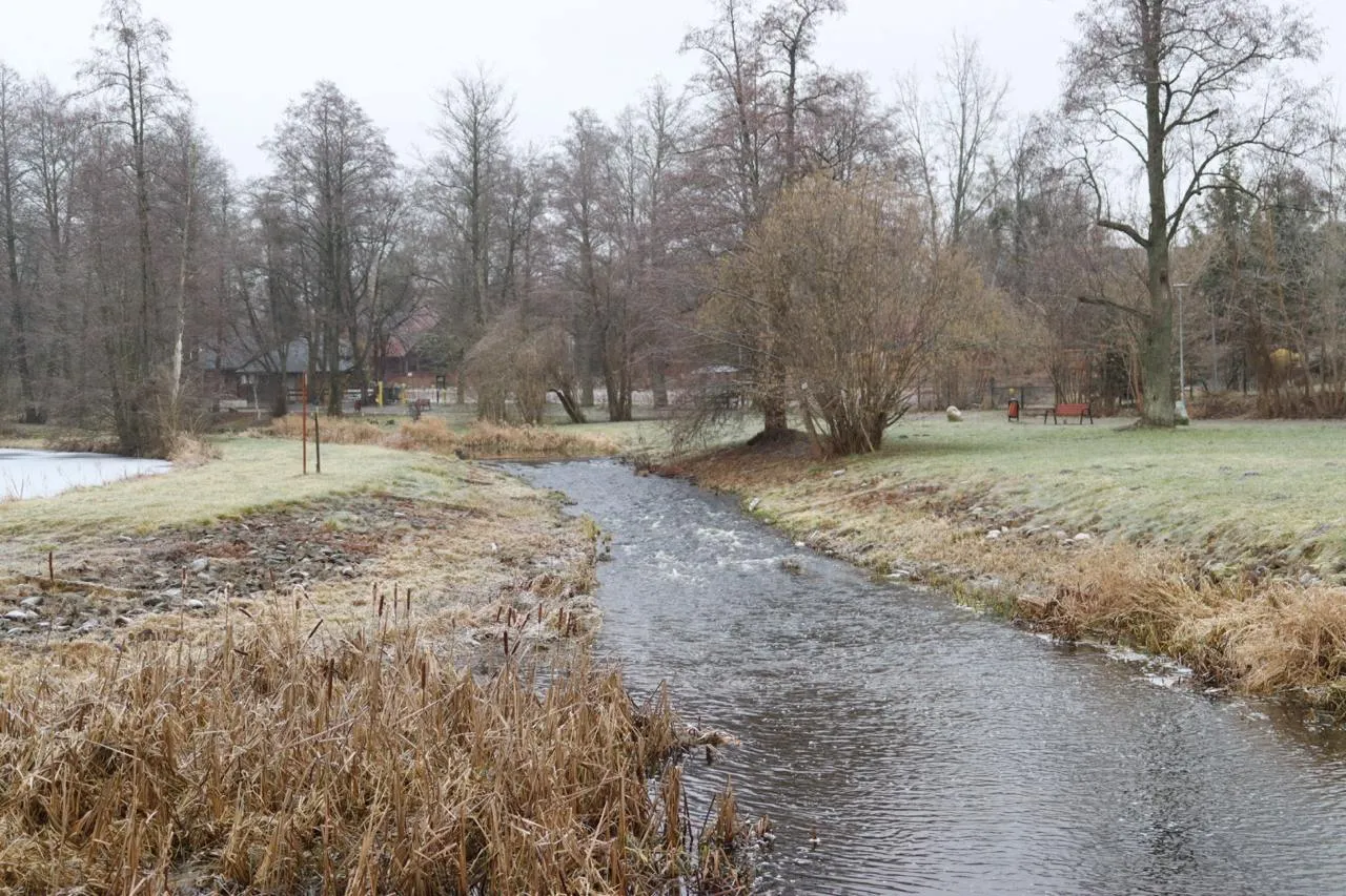 Белавежская пушча