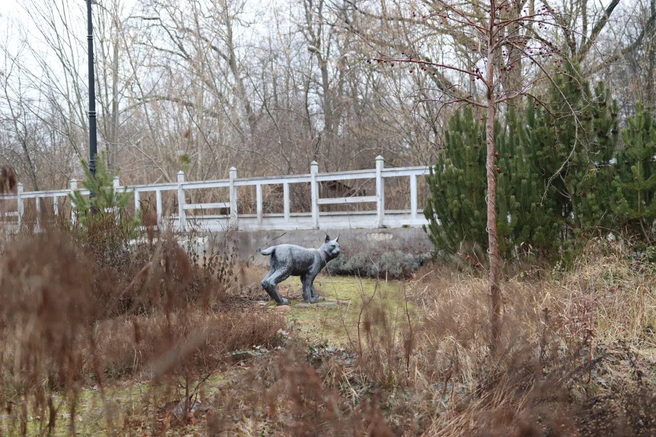 Белавежская пушча