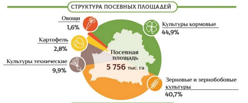 посевные площади