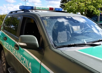 нелегально переходят беларусско-польскую границу