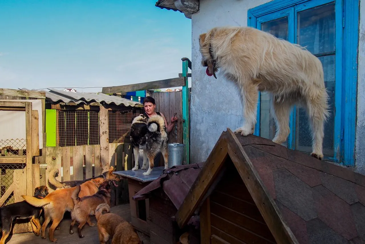 приют в Гродно