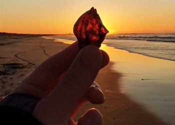 бизнес в Гданьске