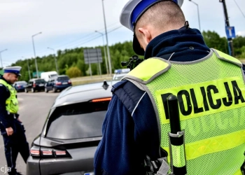 депортировать из Польши