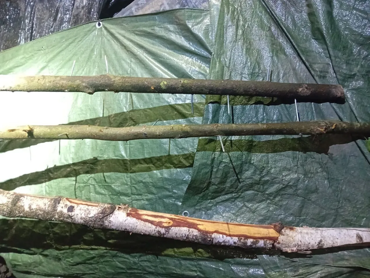 Мигранты на беларусско-польской границе мастерят дорожные шипы и бросают под колеса машин пограничников