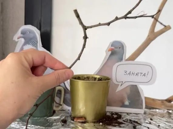 барацьба з голубам