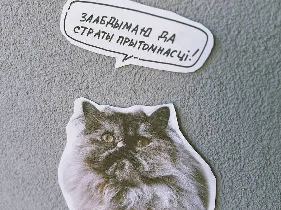 барацьба з голубам