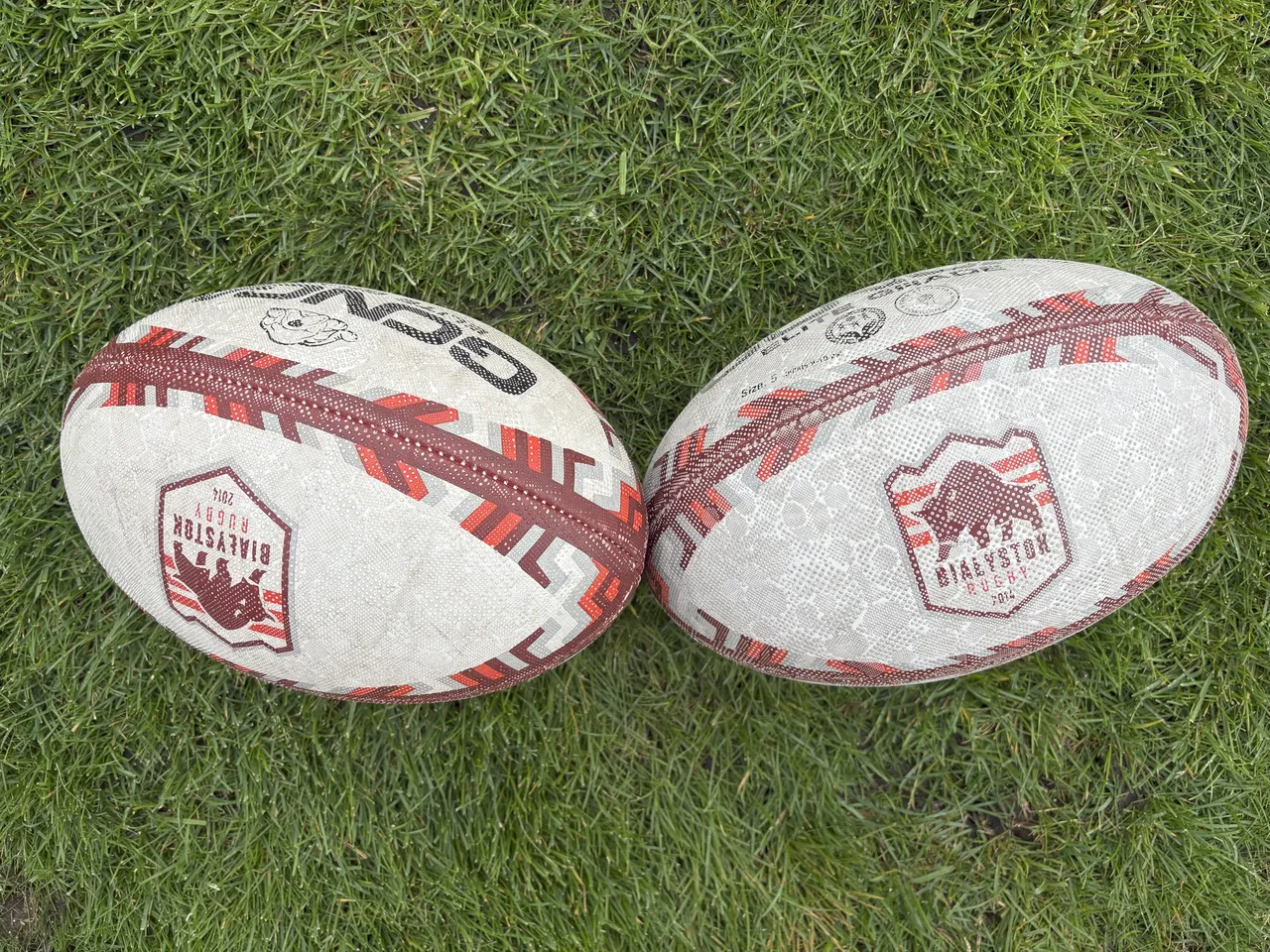 мячи для регби