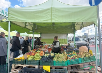 фермерские ярмарки в Польше