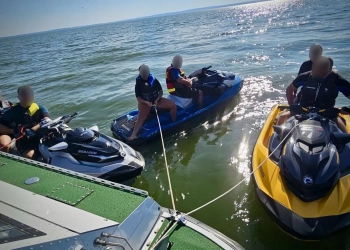 поляки в России