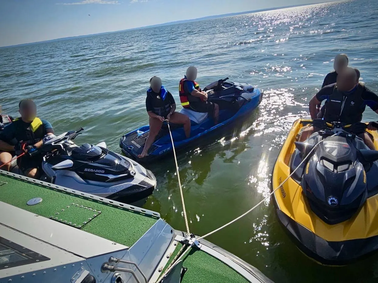 поляки в России