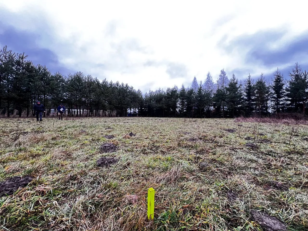 участок под Варшавой