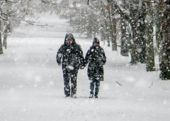 Новый год в колони